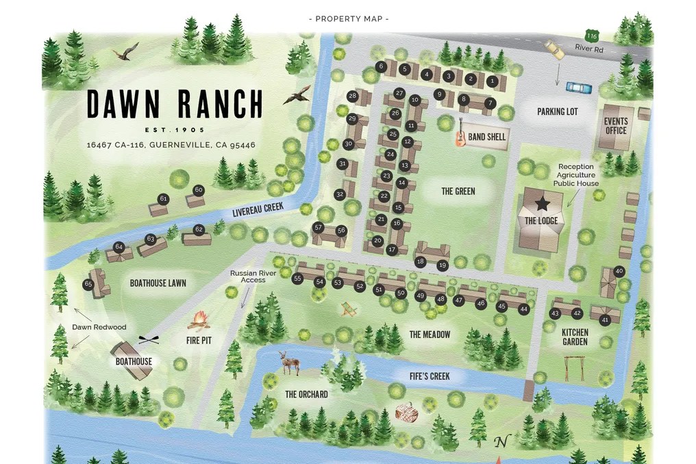 Dawn Ranch #8