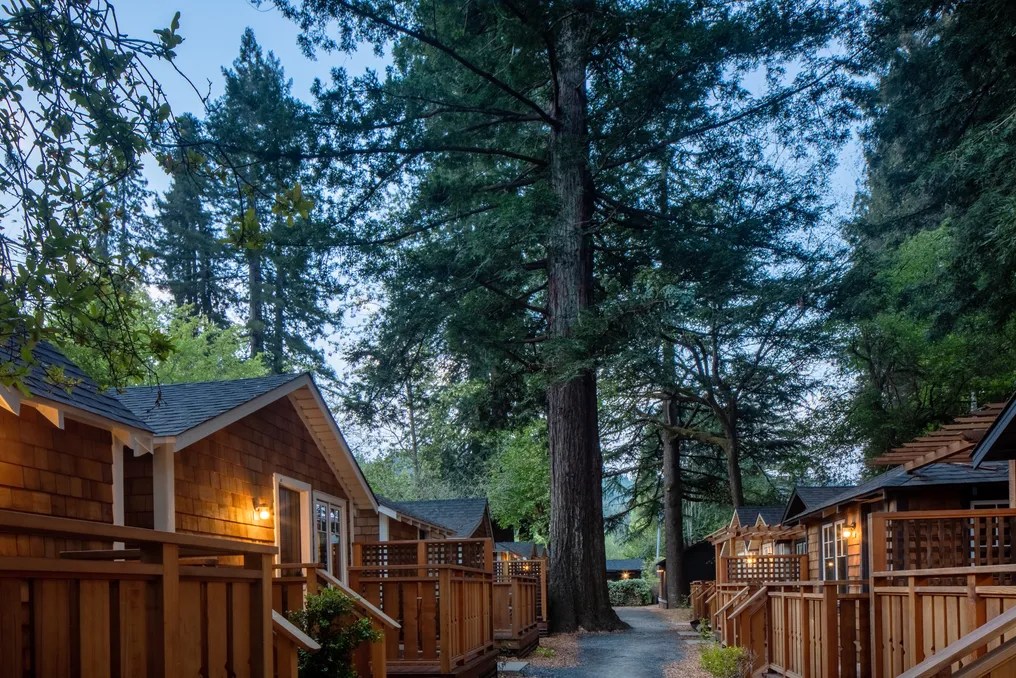Dawn Ranch #22