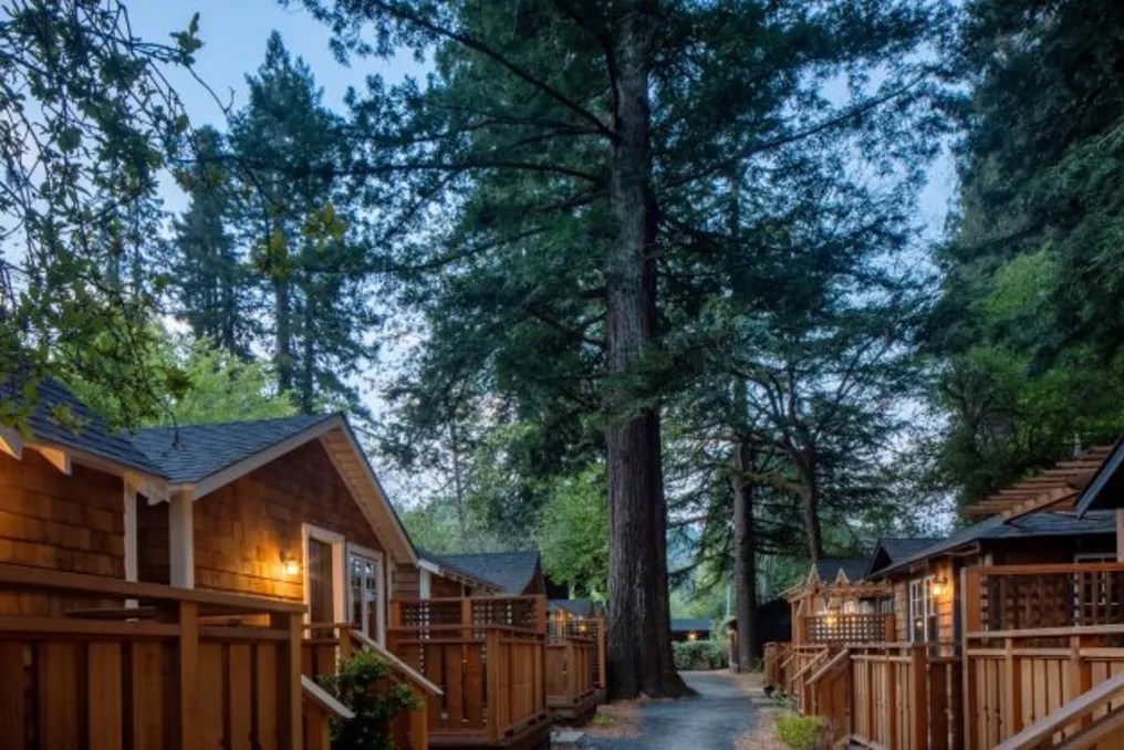 Dawn Ranch #23