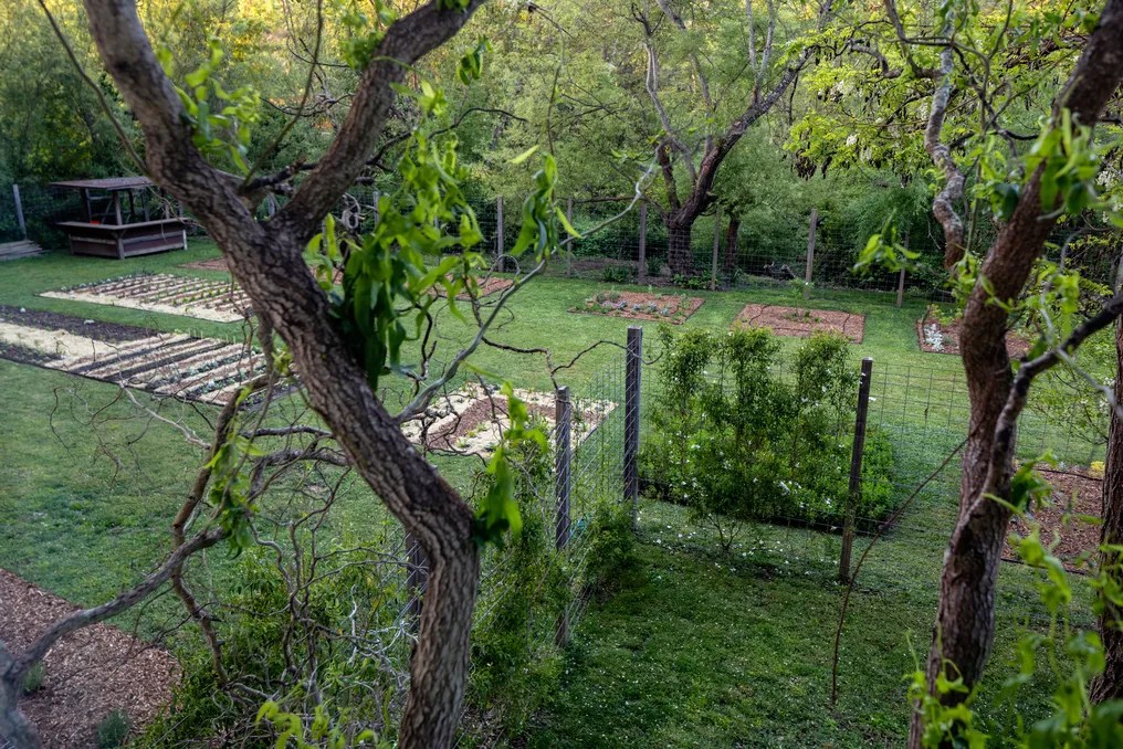 Dawn Ranch #39