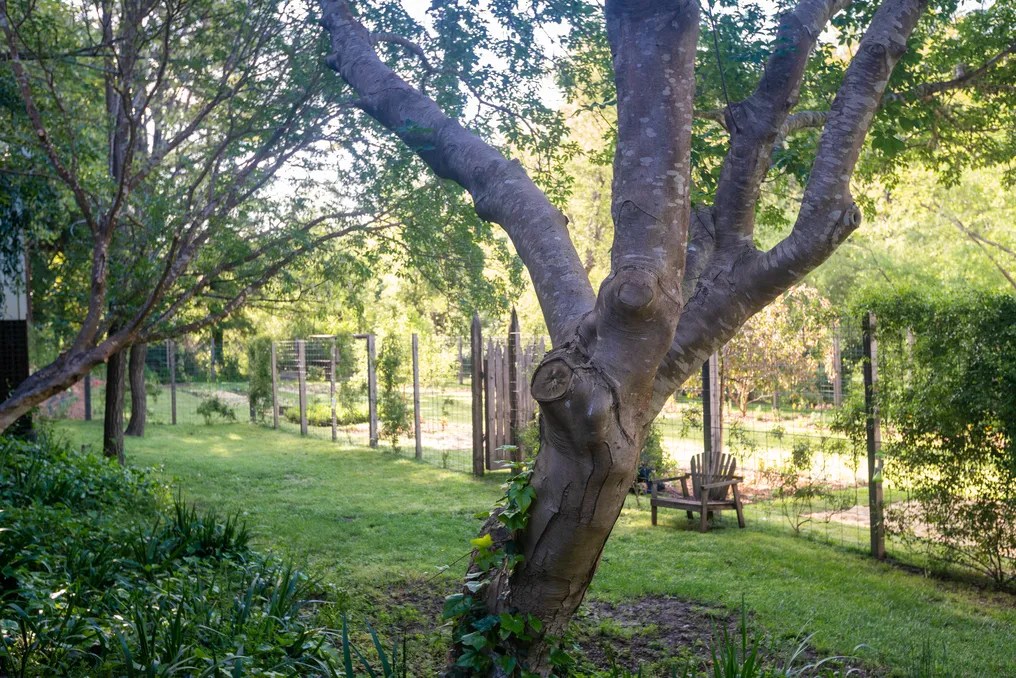 Dawn Ranch #60