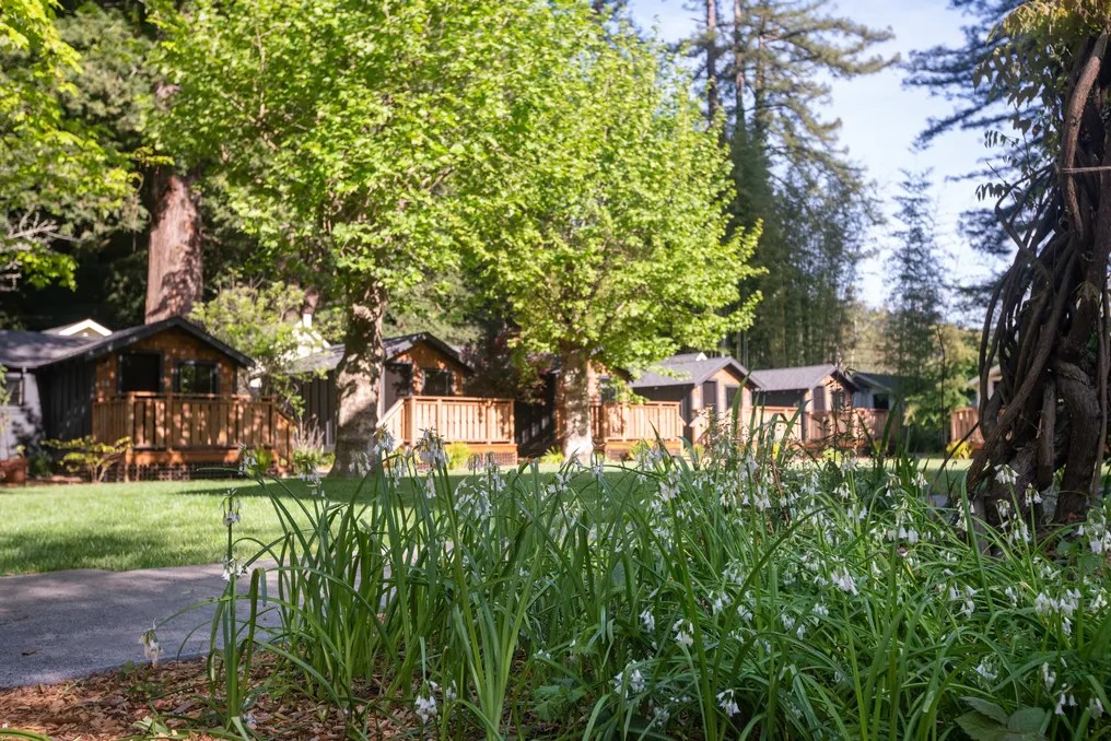 Dawn Ranch #61