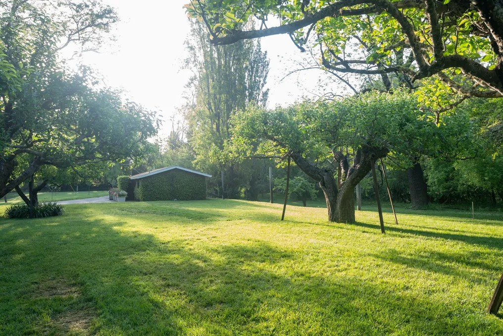 Dawn Ranch #75