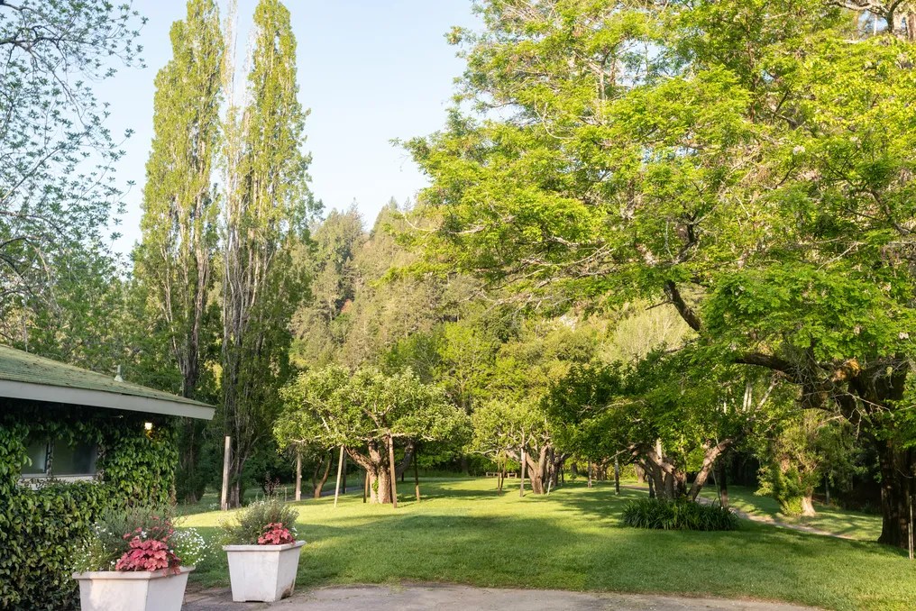 Dawn Ranch #78