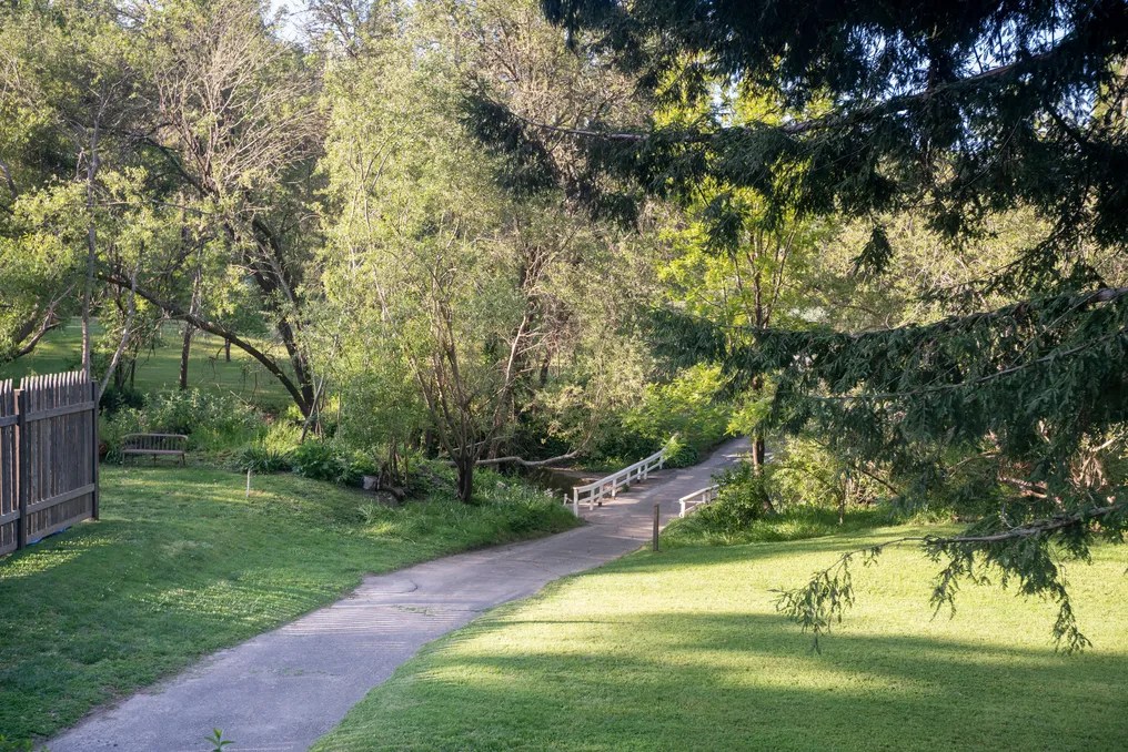 Dawn Ranch #96