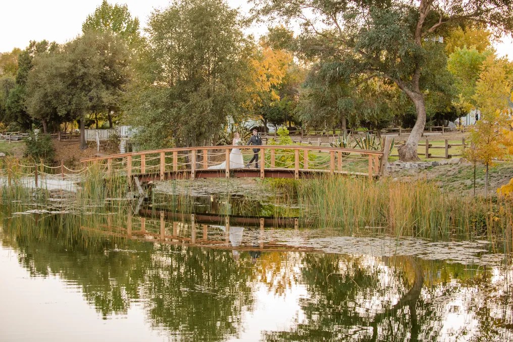 Springville Ranch #57