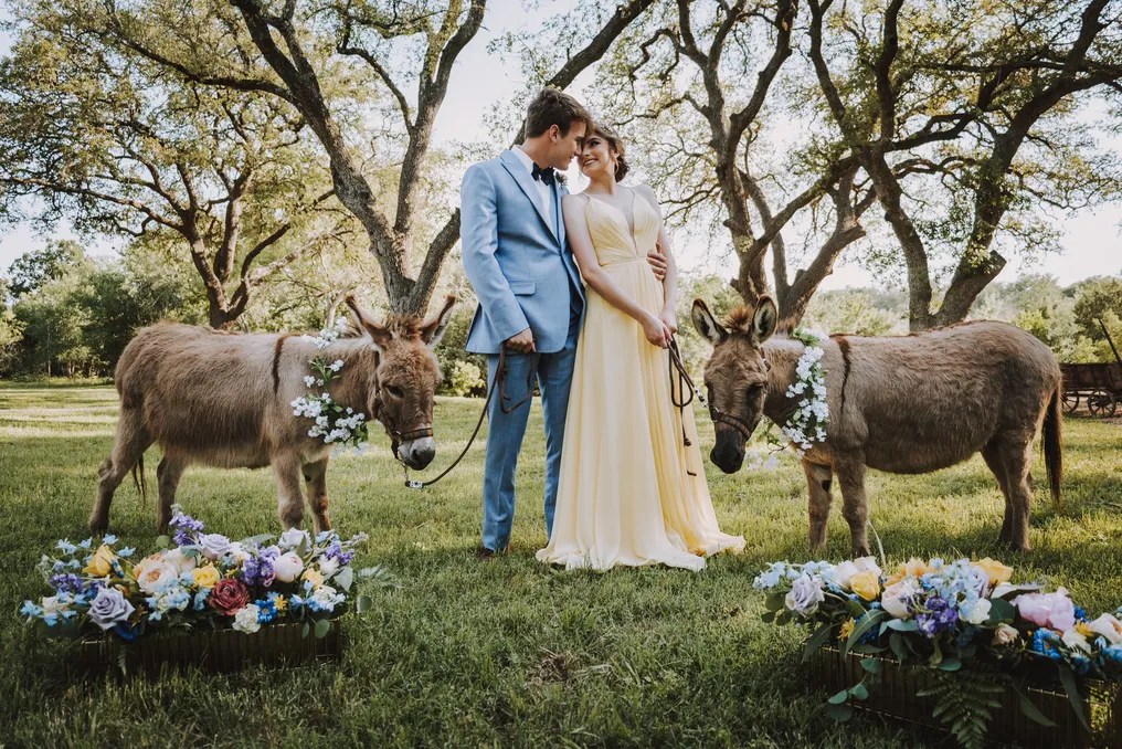 The Oaks of Ever After #3