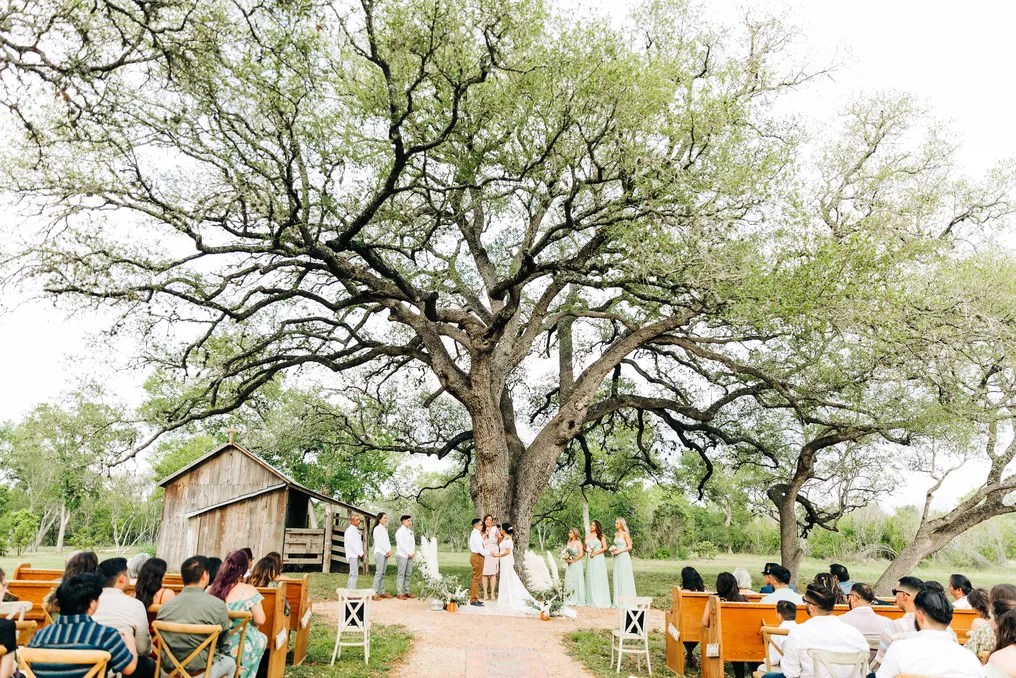The Oaks of Ever After #10