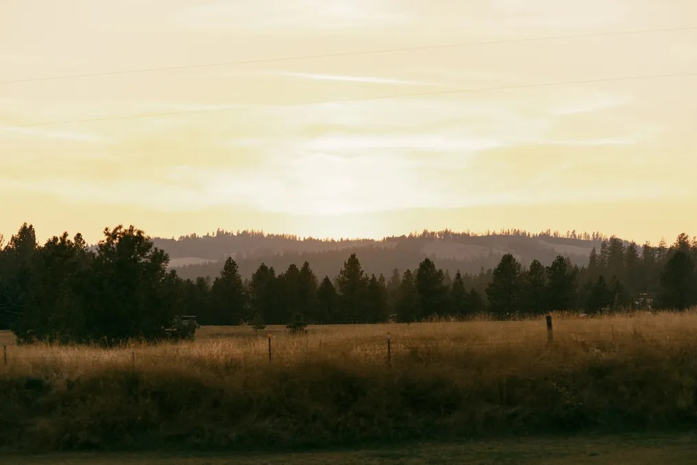 Ballard Meadows #5