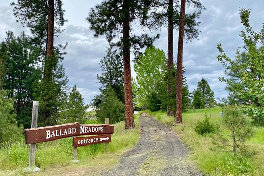 Ballard Meadows #22