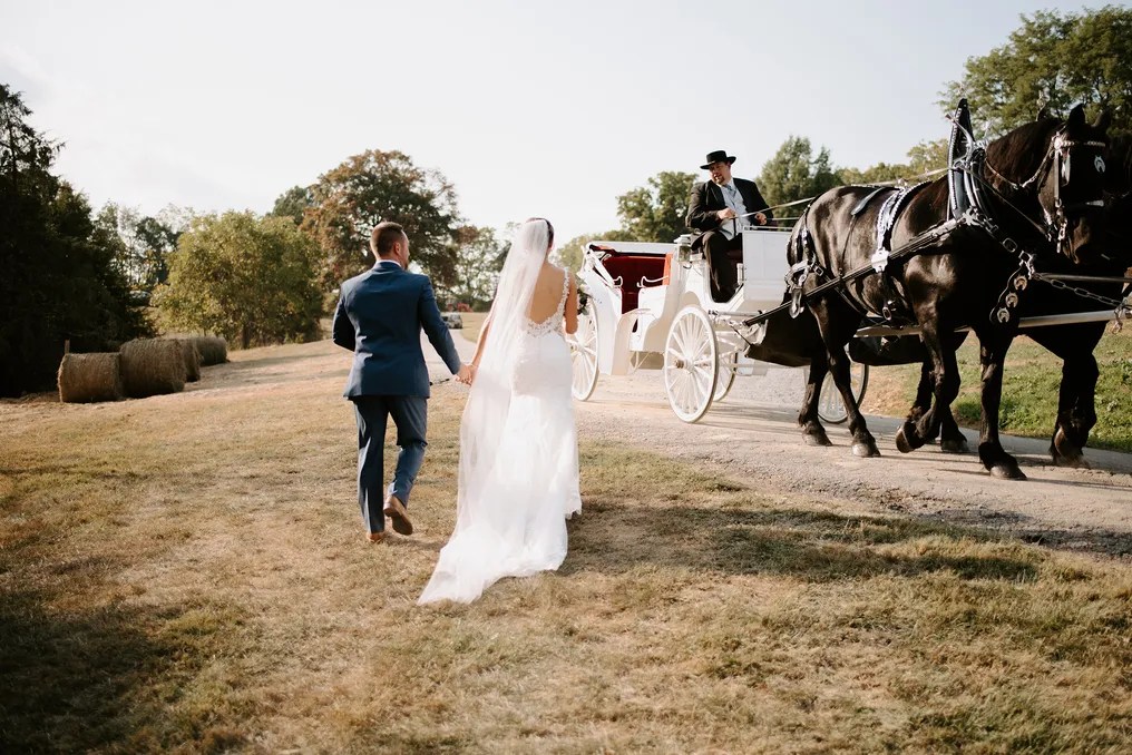 East View Farms and Venue #7