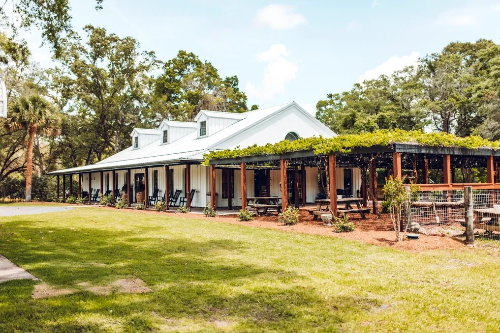 The Vineyard North #35