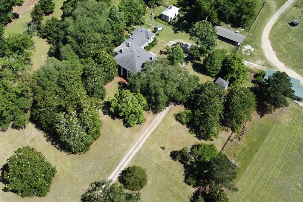 Hollywood Farms #20