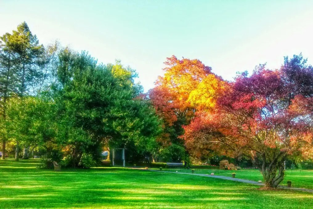 Storybook Gardens #3