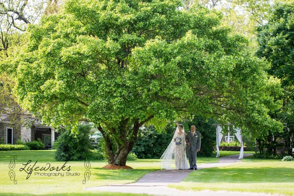 Storybook Gardens #8