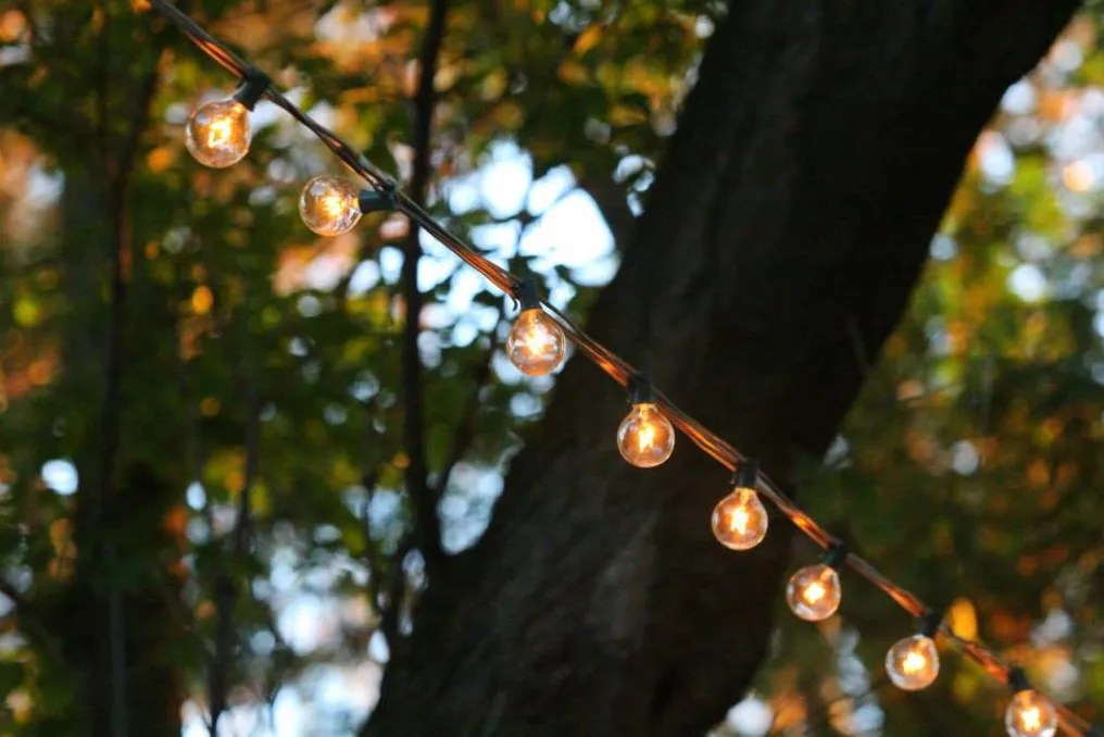 Storybook Gardens #28