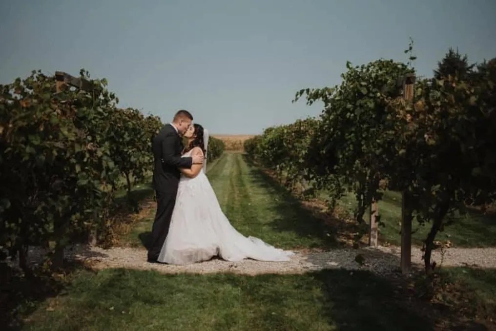 Schade Vineyard & Winery #1