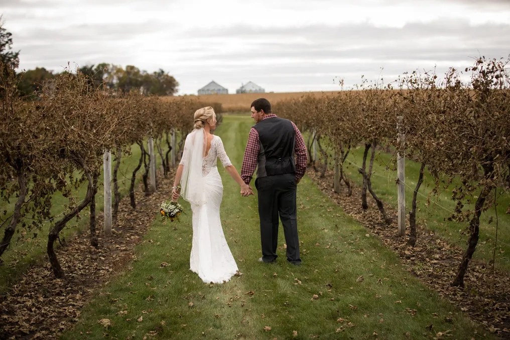 Schade Vineyard & Winery #2