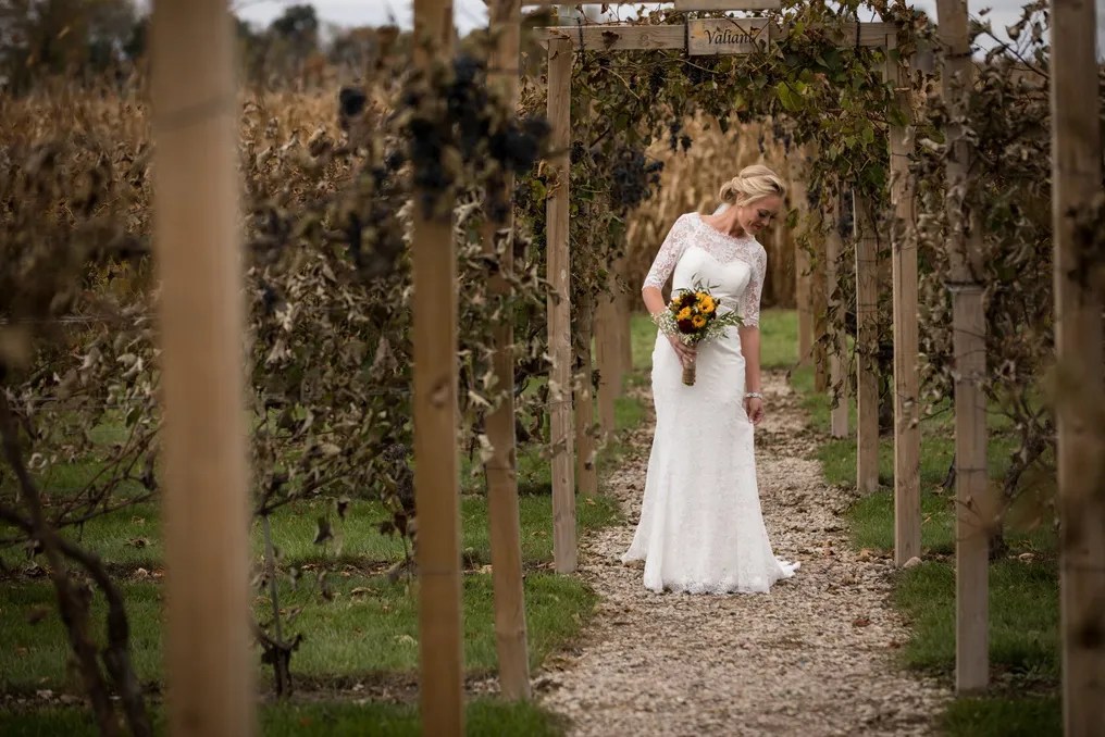 Schade Vineyard & Winery #3