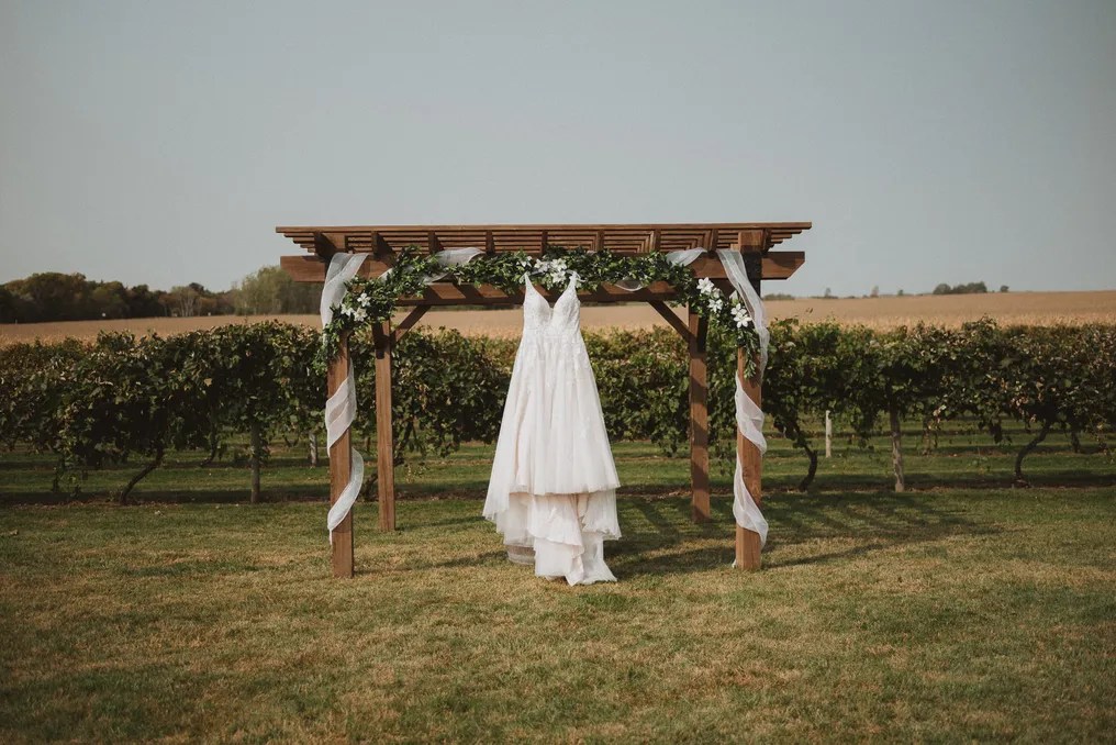 Schade Vineyard & Winery #6