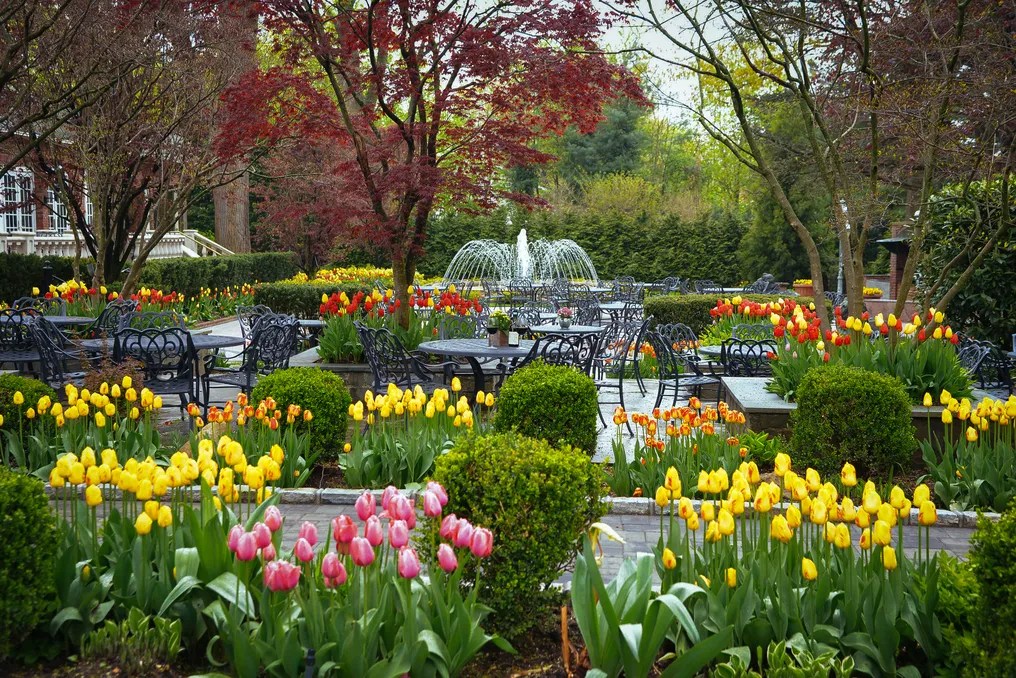 Westbury Manor #16