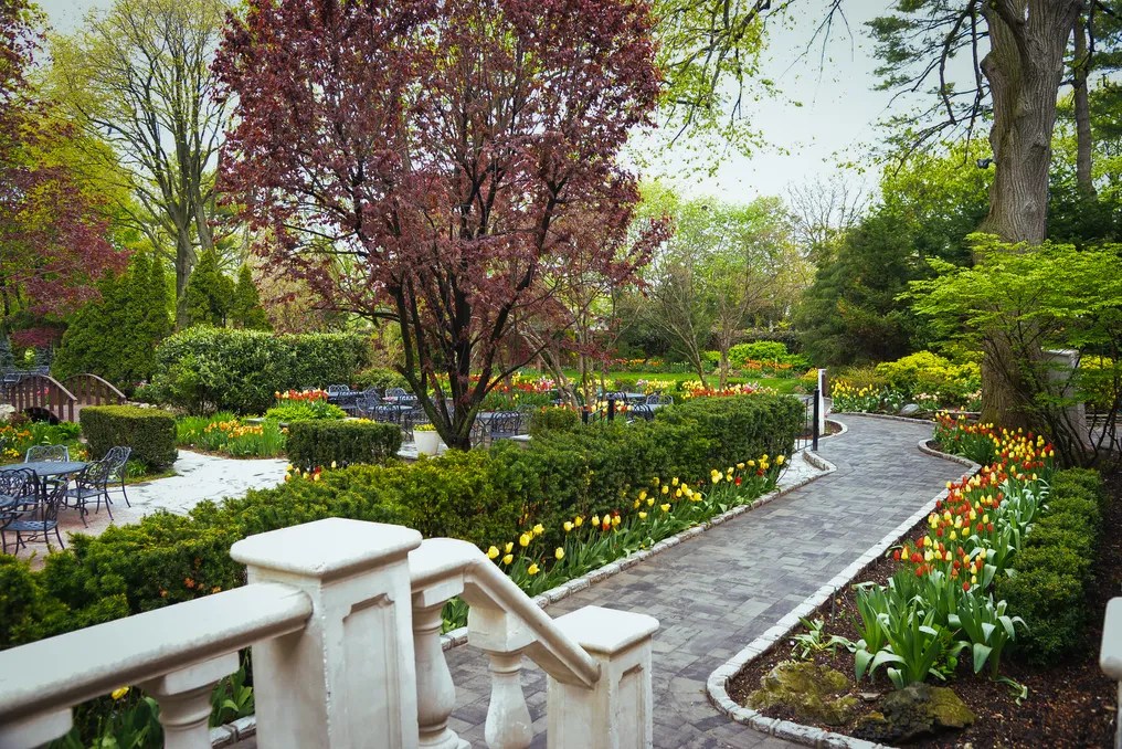 Westbury Manor #104