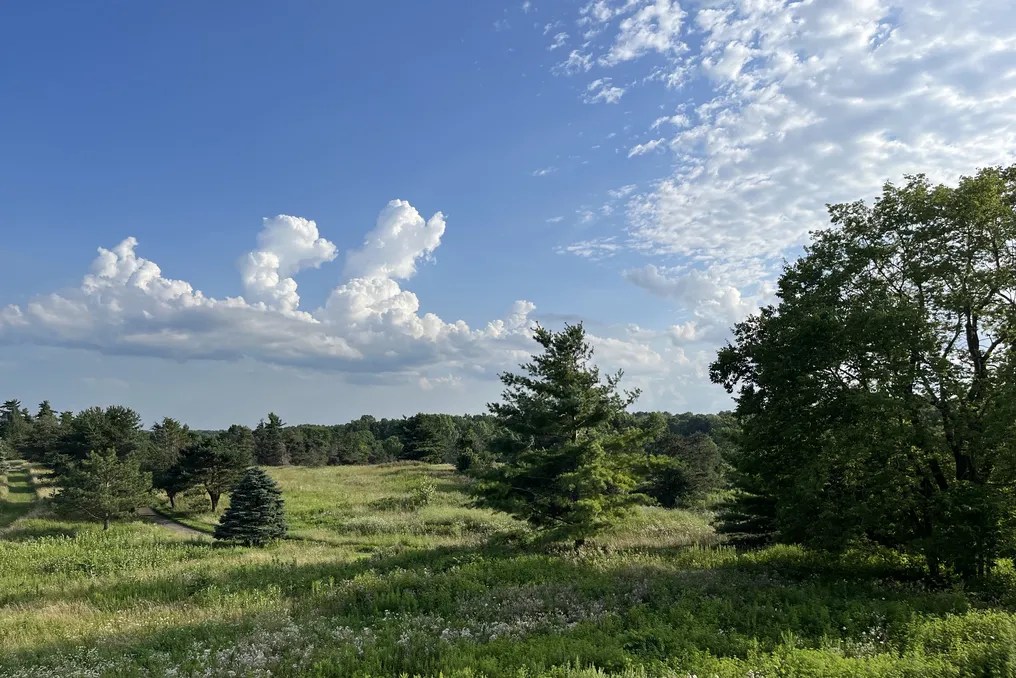 Pin High Farm #3