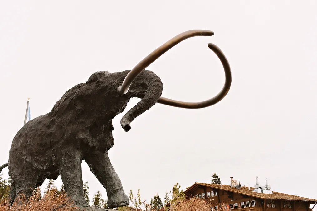 Mammoth Mountain Ski Area #58