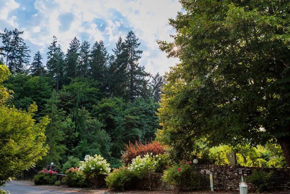 Wisteria Hollow Waterfront Estate #21