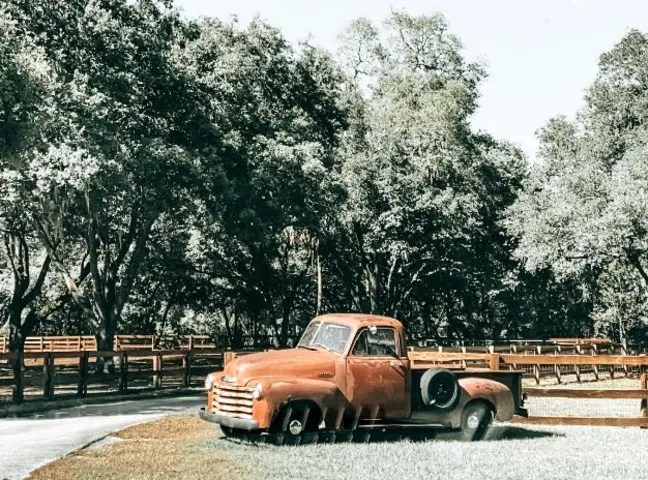 Still Creek Farm #14