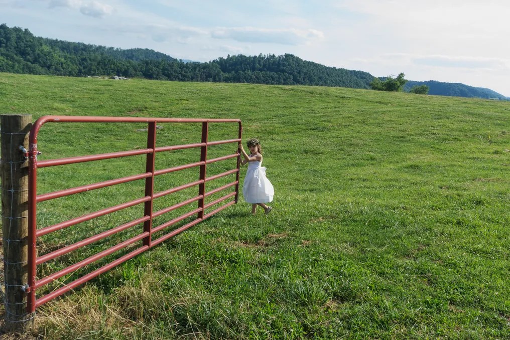 Middle Fork Barn, LLC #17