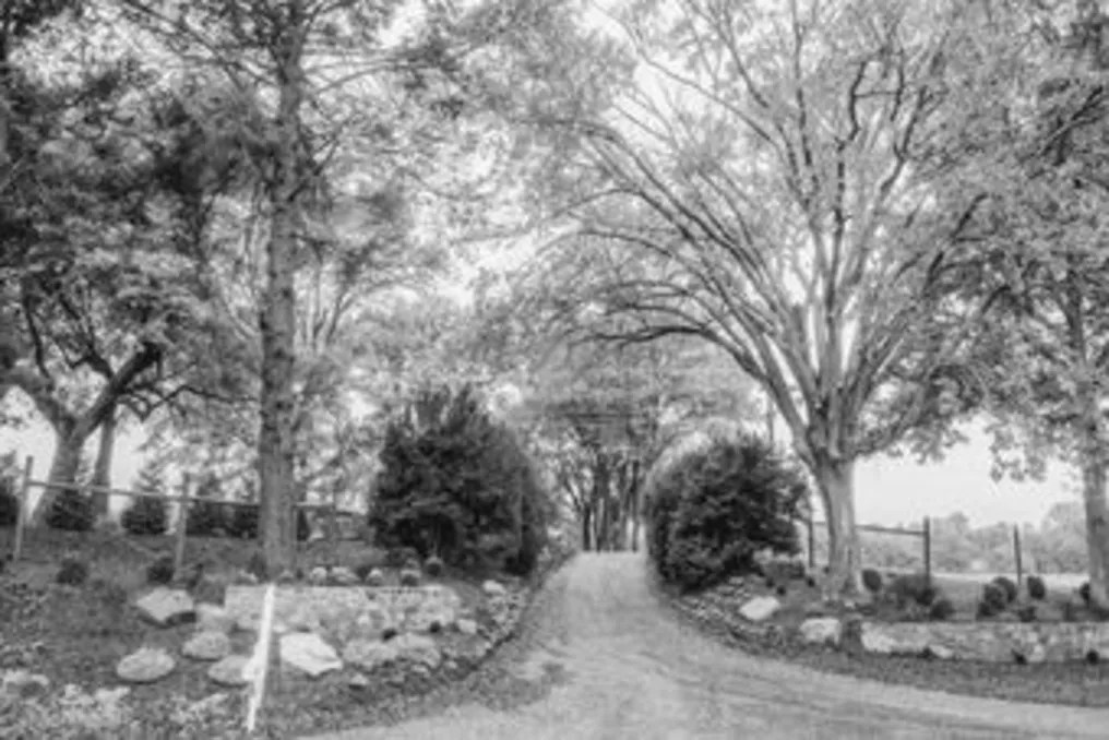 Fleetwood Farm Winery #4