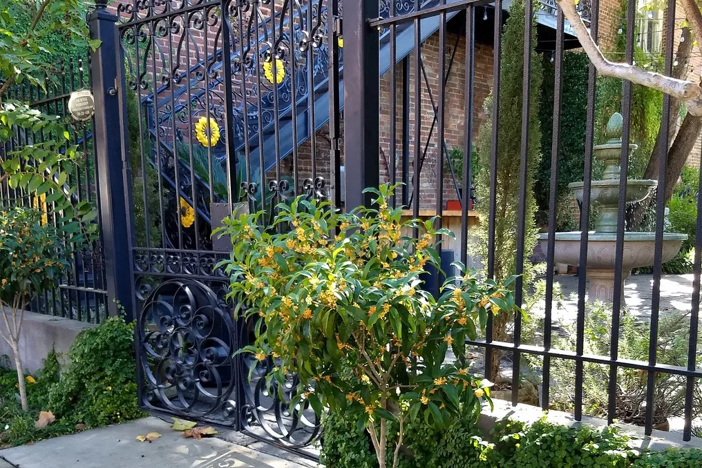 The Courtyard Event Venue #7