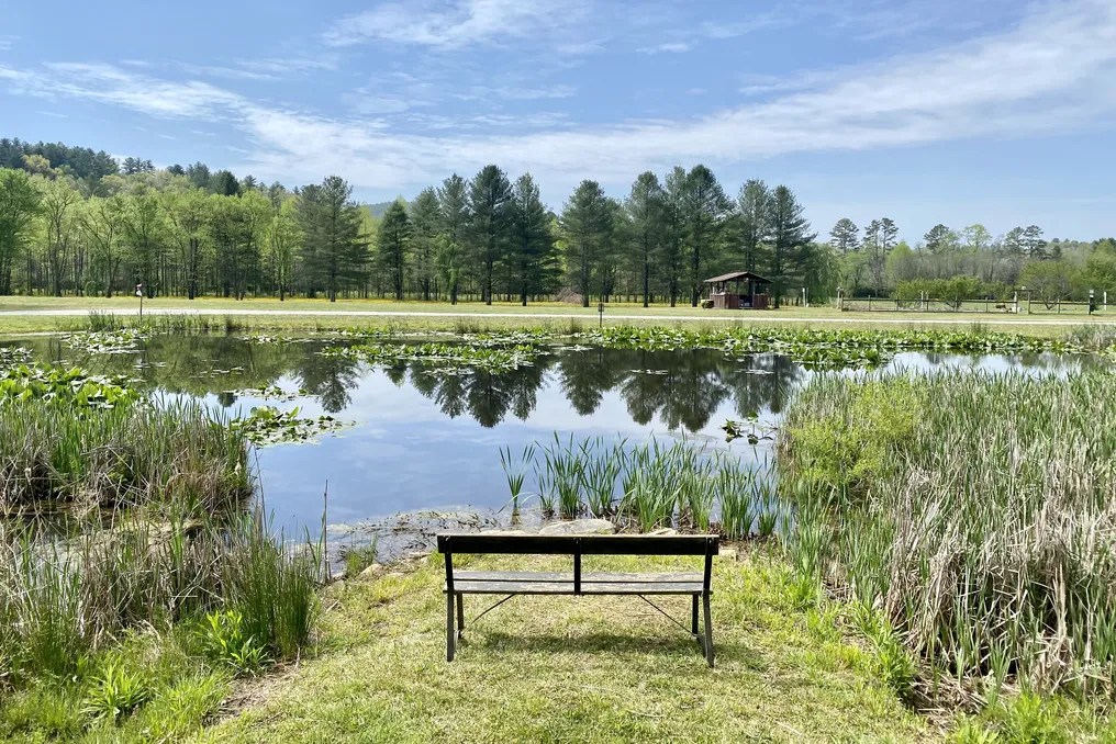 Deerwoode Reserve #12