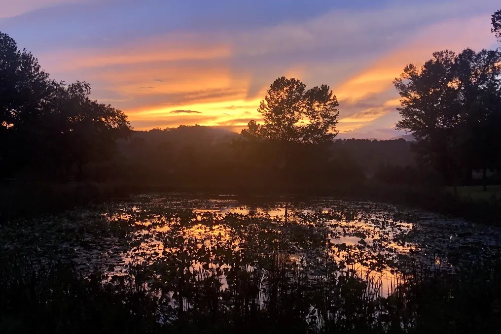 Deerwoode Reserve #17
