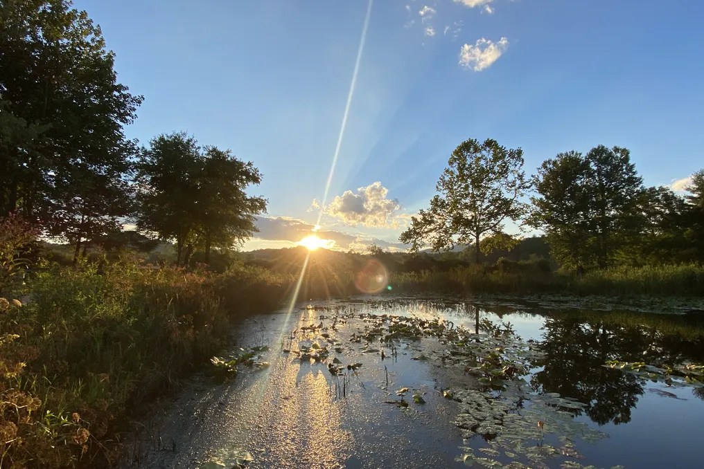 Deerwoode Reserve #24