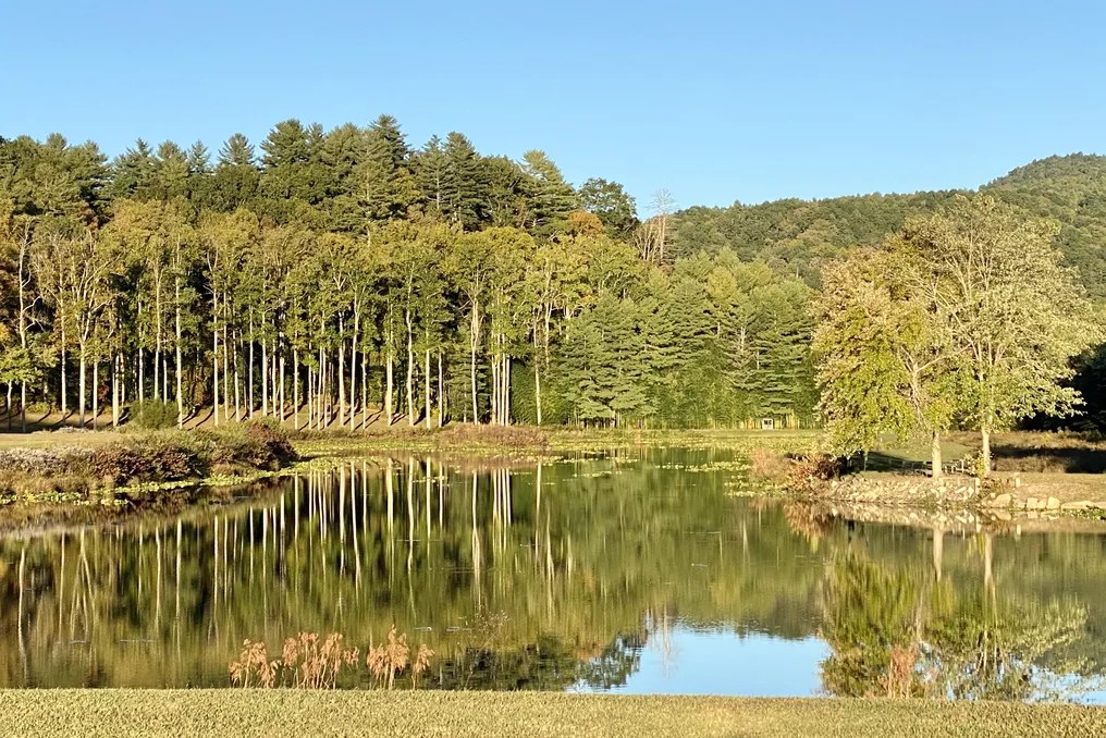 Deerwoode Reserve #25