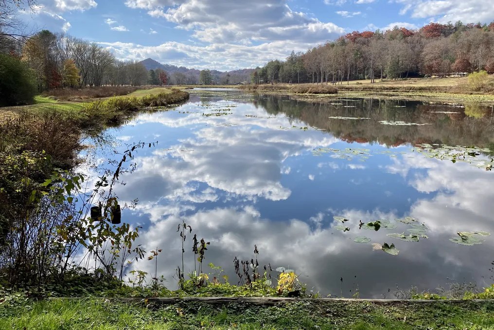 Deerwoode Reserve #26