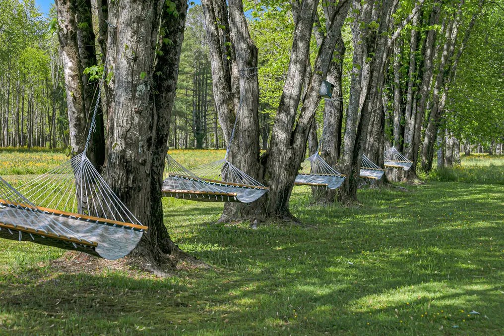 Deerwoode Reserve #28