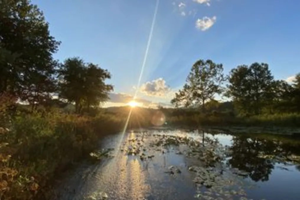 Deerwoode Reserve #36