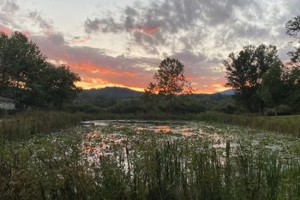 Deerwoode Reserve #37
