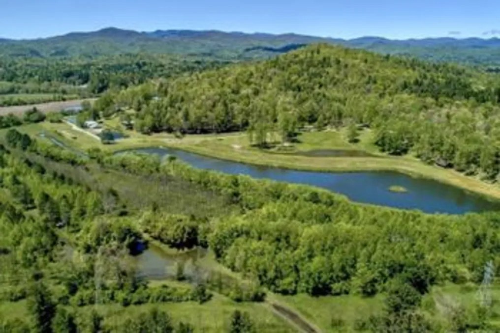Deerwoode Reserve #39