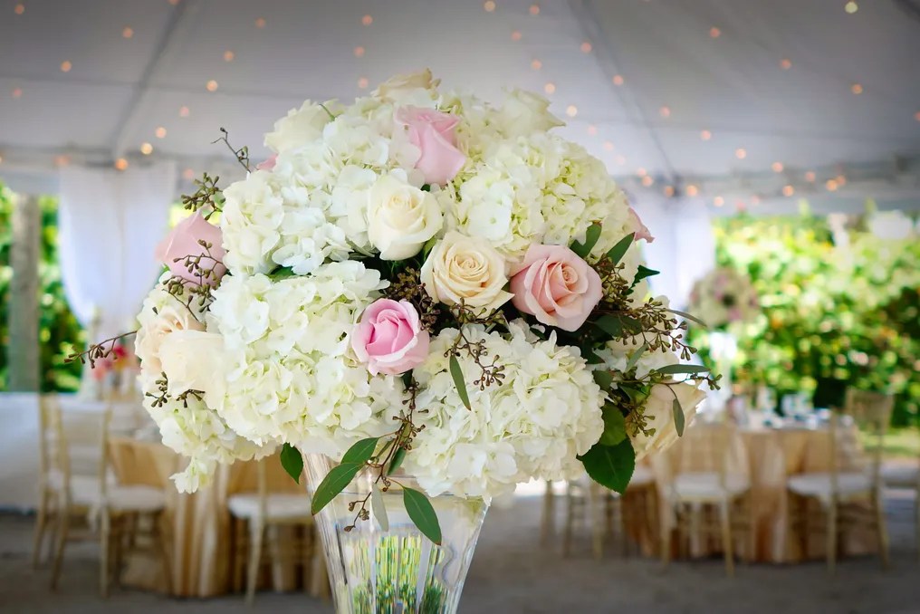 Sand Petal Weddings #31