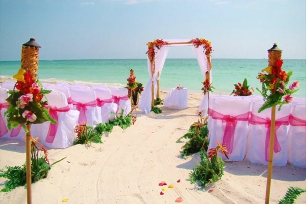 Sand Petal Weddings #46