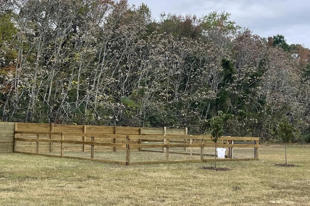 NEW BRANCH FARMS #3