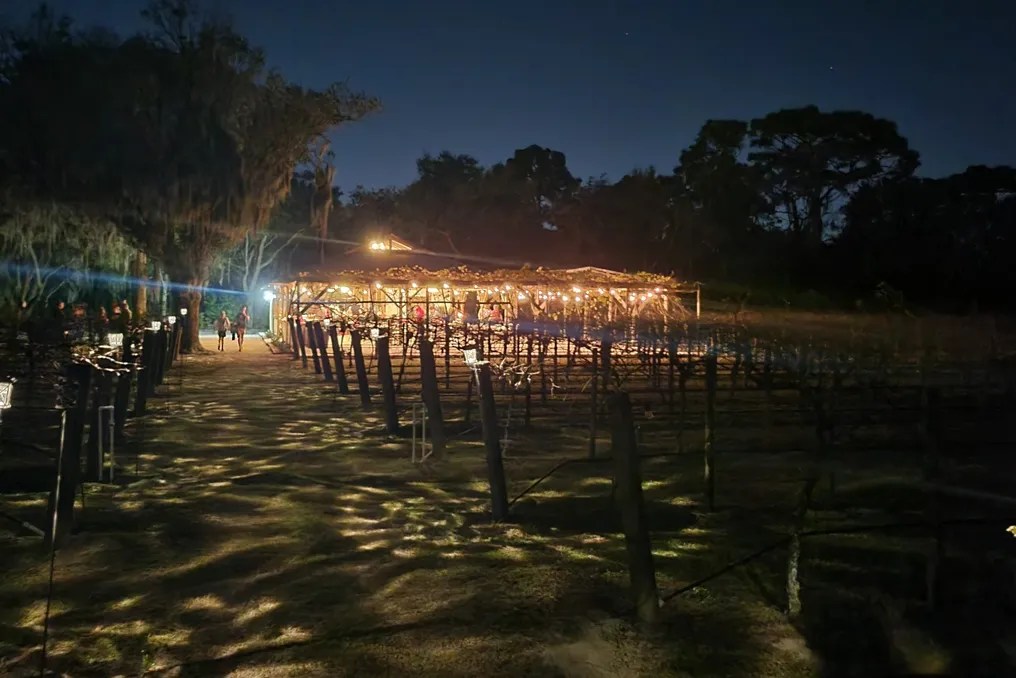 Fiorelli Winery #4