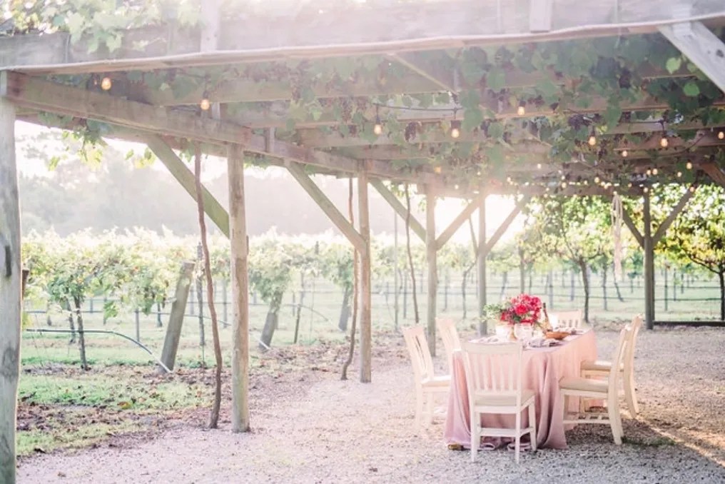 Fiorelli Winery #9