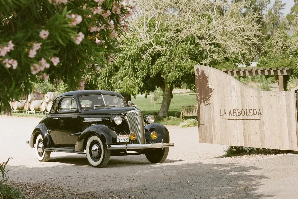 La Arboleda #31