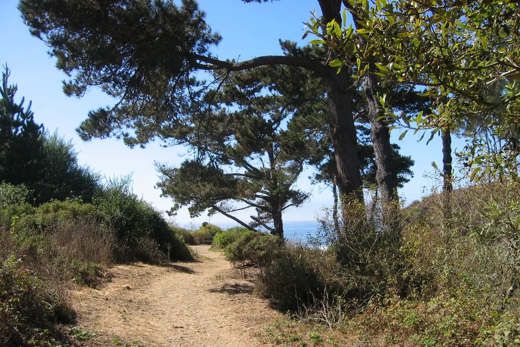 Santa Cruz County Parks #12