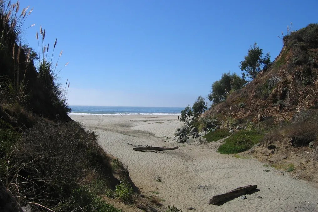 Santa Cruz County Parks #13